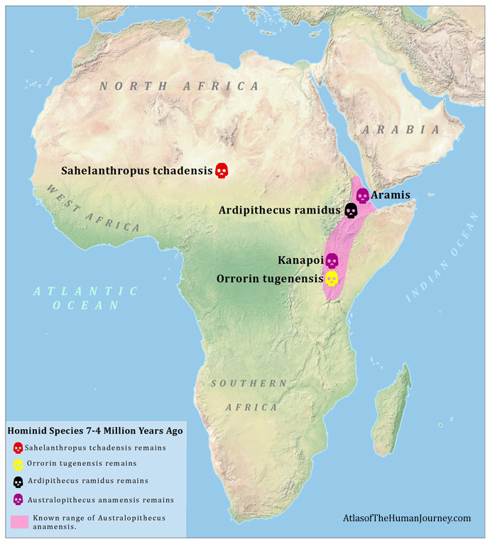australopithecus Map